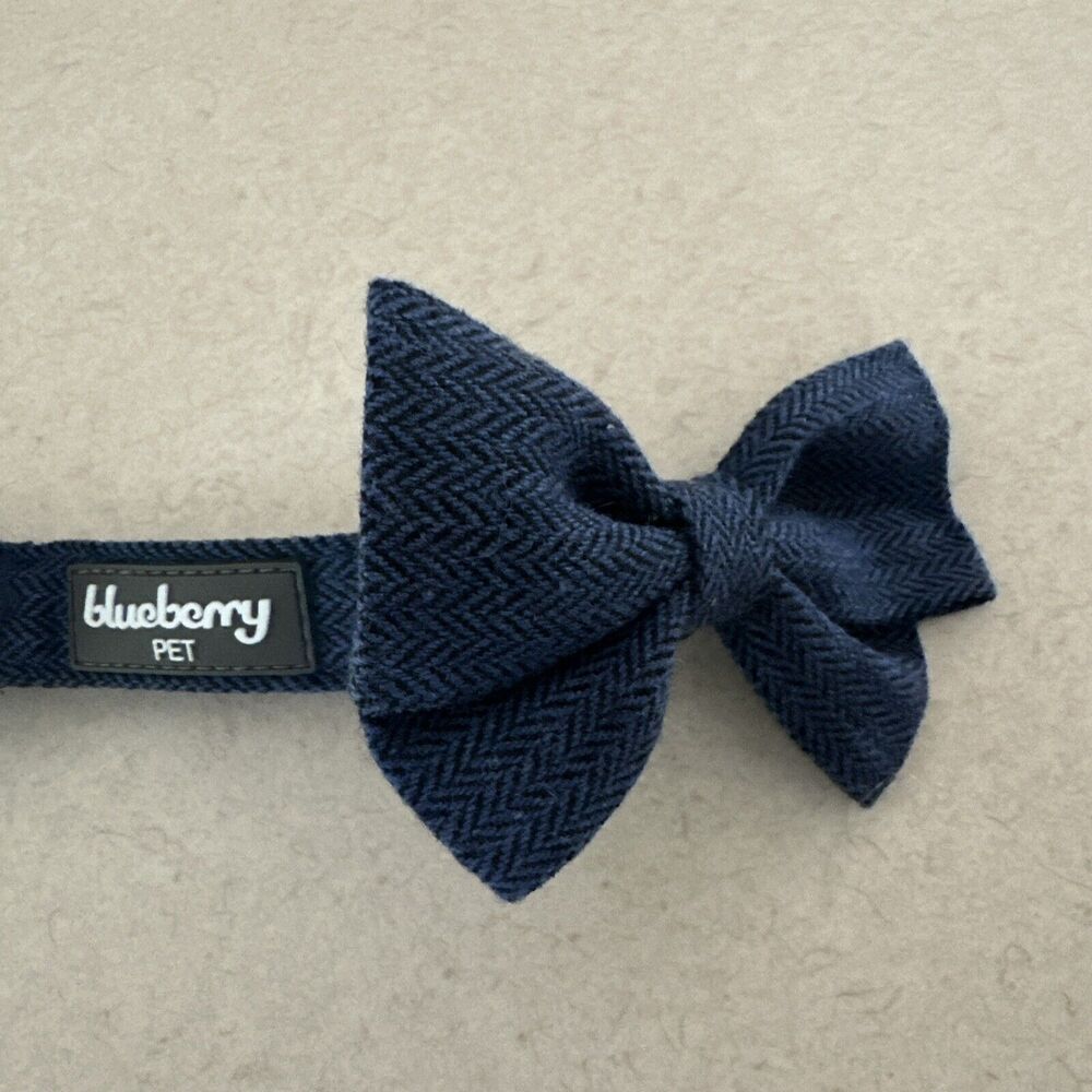 New Blueberry Pet Collar Size Medium Size Chart In Pics